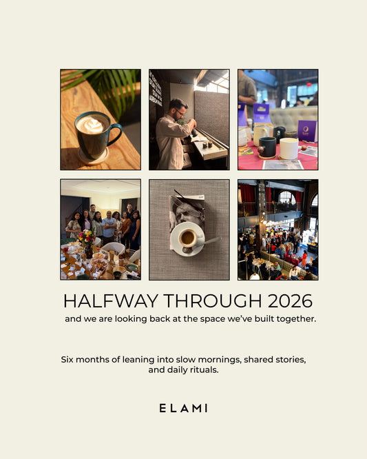 Newsletter article #3
